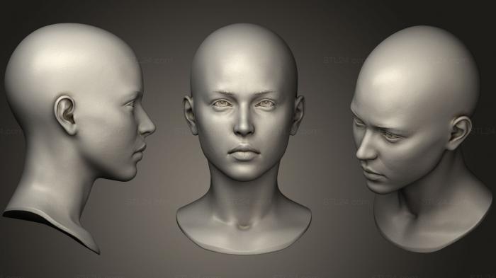 Anatomy of skeletons and skulls (Female Head 9, ANTM_0505) 3D models for cnc